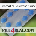 Ginseng For Reinforcing Kidney 21